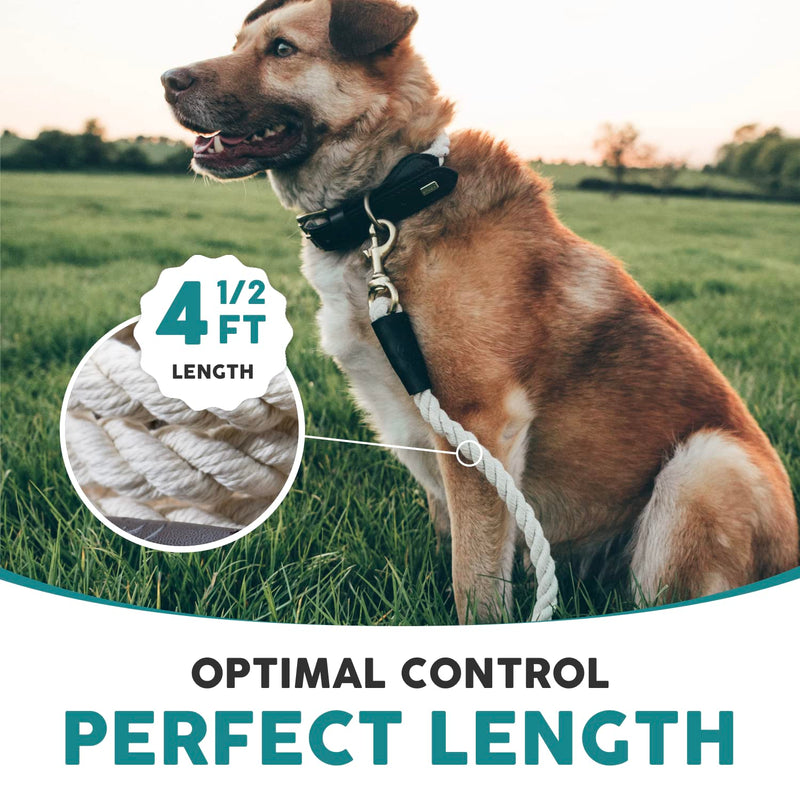 Embark Pets Country Dog Rope Lead – Braided Cotton Leads w/Strong Leather Finish for Small Medium and Large Breed Dogs – Heavy Duty for Training, Walking, Hiking (4.5 FT, Creme) 4.5 FT - PawsPlanet Australia