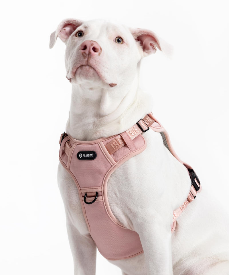 2025 New Edition, Fei & Eve Classic Dog Harness - Quick-Release Buckles | 3-Point No-Pull Control | Heavy-Duty 900D Nylon | Dual Safety Handles | Breathable Mesh | Adjustable Fit | Large,Pink Pink L - PawsPlanet Australia