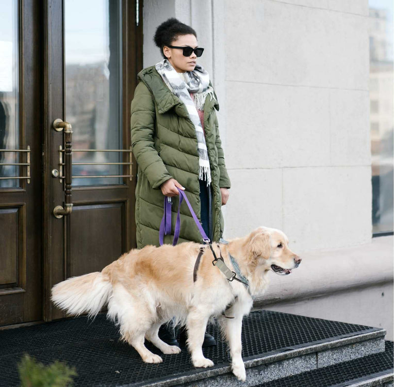 Dog Collar Clip Dog Safety Leash Clip Prong Collar Backup Dog Harness to Collar Safety Clip 5 pcs Reflective Dog Leash Connector Double Ended Backup Clasp - PawsPlanet Australia