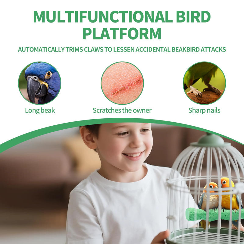 2pcs Bird Beak Grinding Stone, Anti-Slip Parakeet Nail Trimming Stick Resin Beak Grinder Stone Perches Washable Claw Trimmer Stand for Parrot Budgie Cockatiel Cage Accessories - PawsPlanet Australia