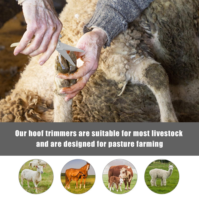 Goat Hoof Trimmers, Stainless Steel Hoof Trimming Tool with Spring Hooves Shears Sheep Nail Clippers for Pig, Horse, Livestock - PawsPlanet Australia
