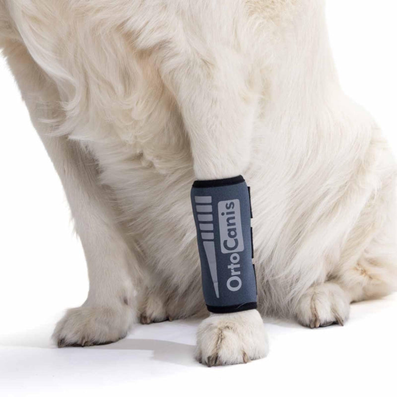 Ortocanis - Dog Leg Brace - Front Leg Brace for Dog - Arthritis, Ligament Injuries, Tendon Injuries or Agility Dogs - Made of Neoprene - Size XL 20-22 cm