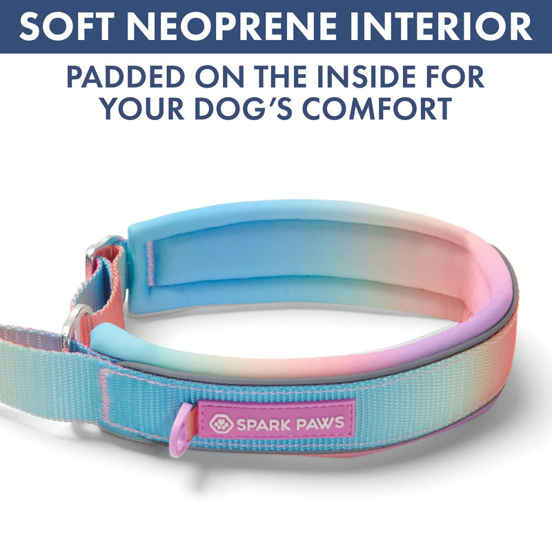 Spark Paws Martingale Dog Collar – Cushioned Slip-On Training Collar, Heavy Duty, Safety-Tested No-Buckle Collar for Medium & Large Dogs - Pastel Icing - C 01 Pastel Icing C: 17" - 18.5" [1.8" wide] - PawsPlanet Australia