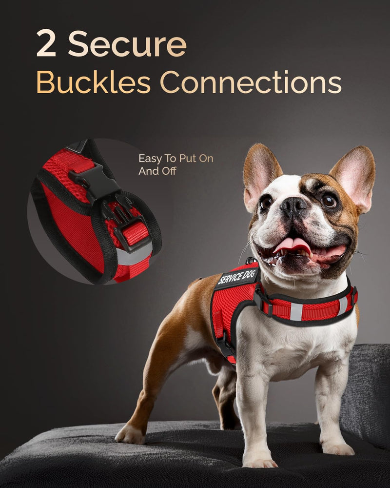 FAYOGOO Service Dog Vest for Small Dogs - Breathable Air Mesh Service Dog Harness with Leash & 6 Patches, Adjustable No-Choke Design for Walking, Travel & Public Access Red S - PawsPlanet Australia