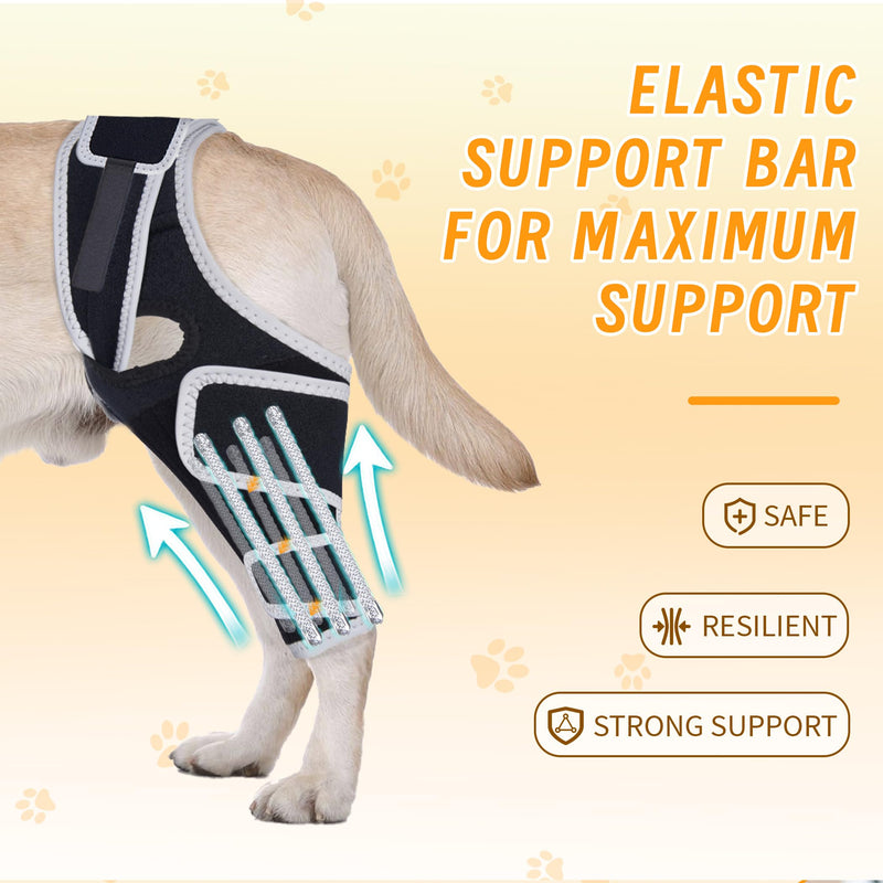 Adjustable Dog Knee Brace for Torn ACL and Ligament Injuries – Durable, Comfortable Support for Hind or Front Legs, Helps Recovery, Stabilizes Ligaments, and Enhances Daily Activity, S