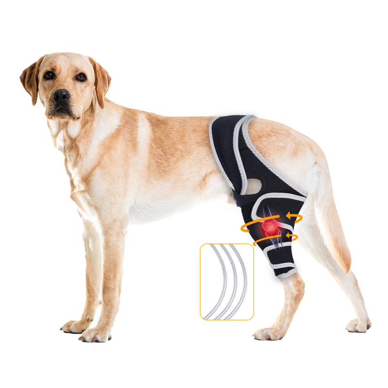 Adjustable Dog Knee Brace – Supports Acl and Ccl Healing, Reduces Joint Pain, Enhances Mobility, Assists Recovery After Surgery, and Fits Front or Back Legs, XL Blck