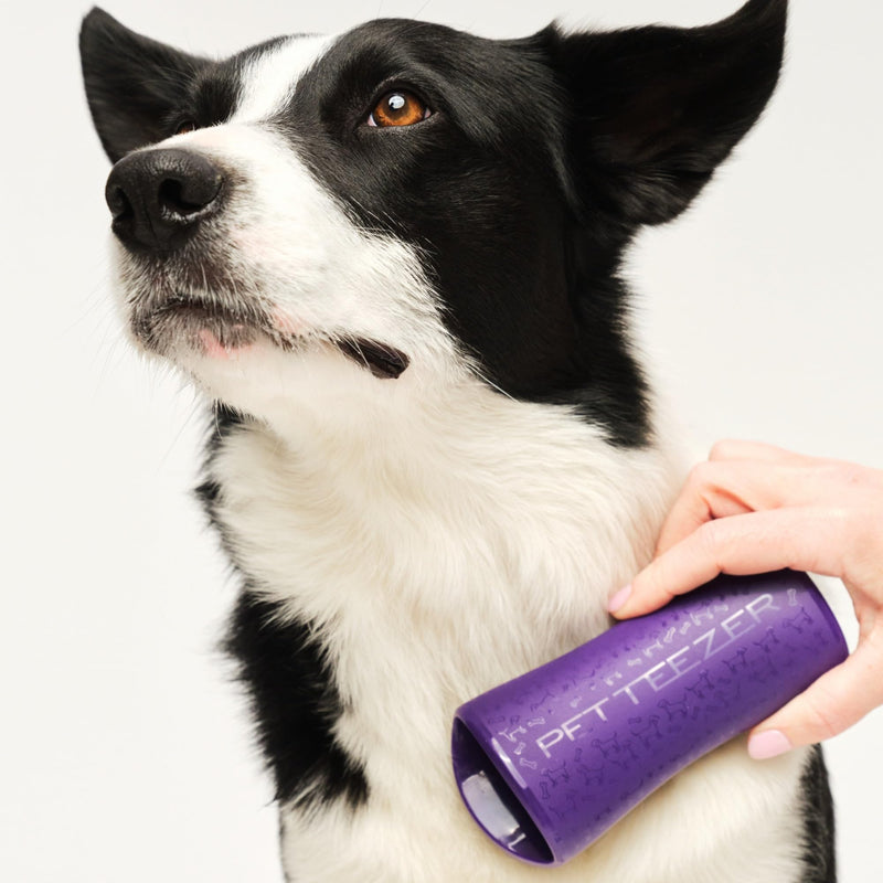 Pet Teezer De-Shedding Dog Brush by Tangle Teezer, Dog Grooming Tool for Long Haired Breeds and Wet or Dry Fur, Large, Purple & Gray Purple & Grey Large De-shedding - PawsPlanet Australia