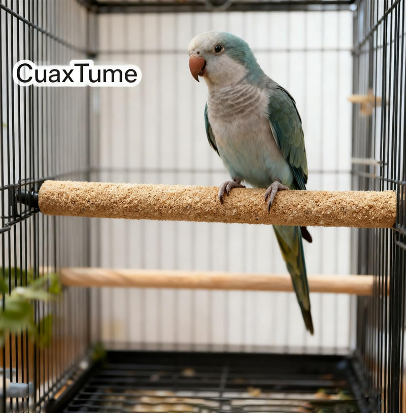20-Pack Sanded Perch Covers for Parakeets - Bird Perchs Covers 7.5" L x 3/8" D Bird perches for Parakeets, Lovebirds, Parrotlets, Canaries and Other Small Birds (20pcs Small 7.5" L x 3/8" D) 20pcs Small 7.5" L x 3/8" D