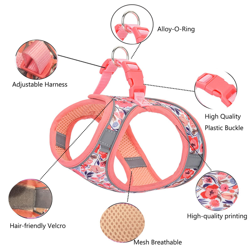 XXS Dog Harness and Leash Set, Step in Dog Harness No Pull for Walking Running Training, Puppy Essentials for Dogs Cat Bunny, Adjustable Reflective Dog Vest Harness. (Orange, XXS) Orange - PawsPlanet Australia