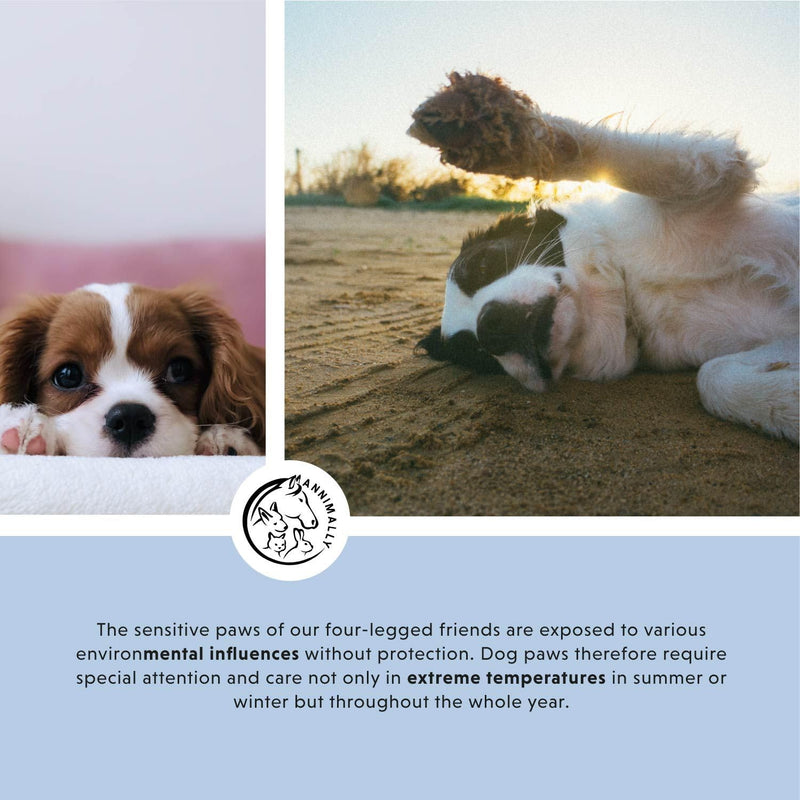 Dog Paw Balm and cat paw balm 50g - Dog nose balm with beeswax, shea butter & calendula oil - Paw ointment for dog paw protection in winter and wound healing - Paw balm for dogs & nose balm for dogs - PawsPlanet Australia