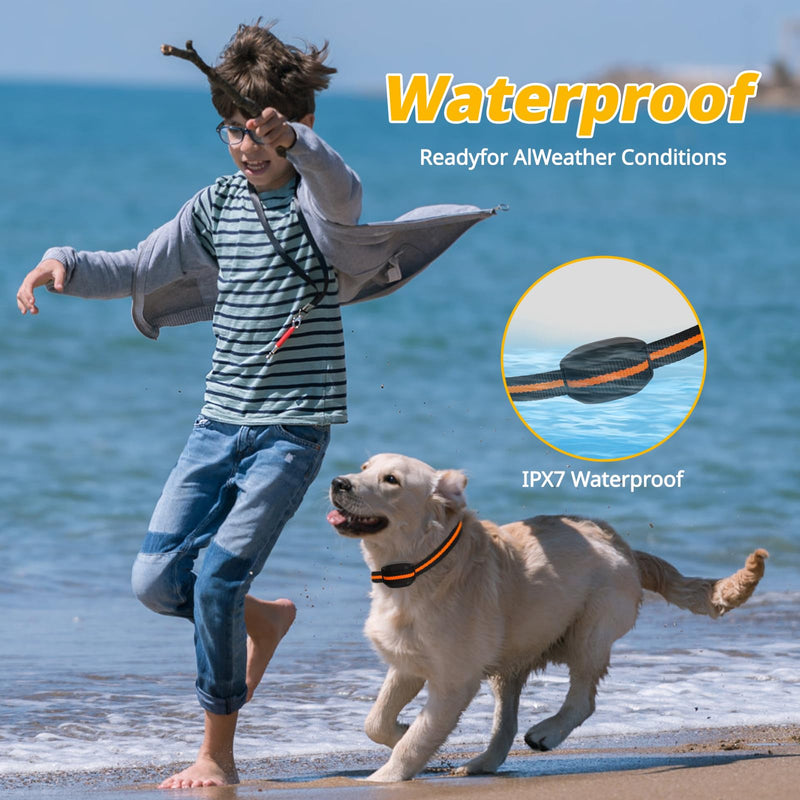 Ultra-Small Dog Shock Collar for 5-15 Pound Small Dogs - 1900Ft Range,Training Collar with Remote Control,3 Training Modes Beep,Vibration,Safe Shock, Waterproof Rechargeable E-Collar (Orange) Orange - PawsPlanet Australia