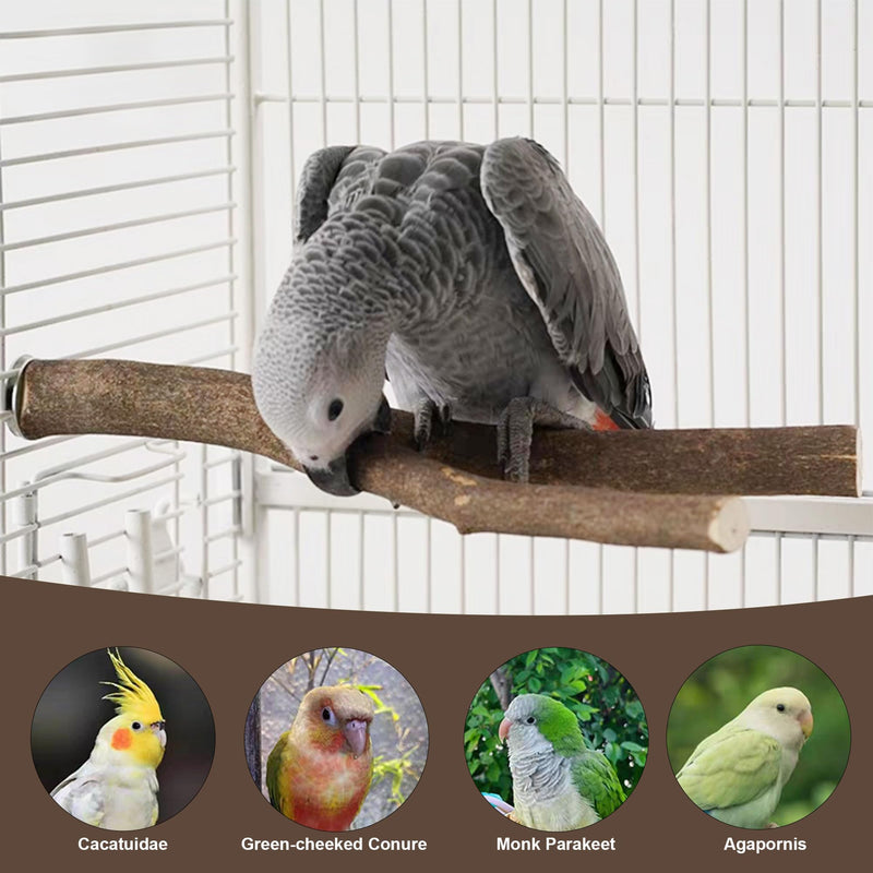 6 PCS Bird Perch Set, Natural Birch Wood Straight & Forked Perches with Platforms for Parakeets, Cockatiels, Conures, Lovebirds - Cage Accessories for Climbing & Exercise BMU6
