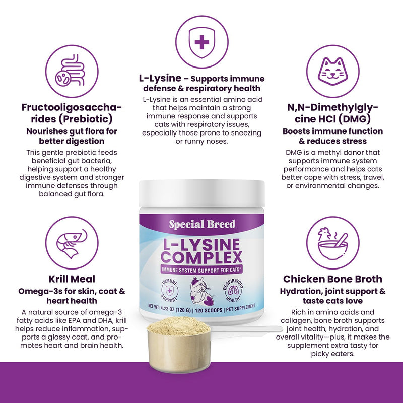 Special Breed L-Lysine for Cats and Kittens – Immune, Respiratory and Eye Support – Cat Sneezing and Runny Nose Relief – Lysine Powder with Prebiotics, Krill, Bone Broth and DMG – 120 Servings