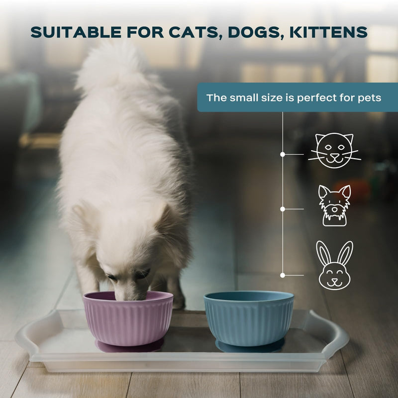 Cat Bowls with Suction Cup 400ml with Silicone Lid — Elevated Silicone Pet Dish with Non-Slip Bottom for Dry Food, Wet Food and Water — Silicone Water Bowl for Small Dog, Rabbit, Kittens (Grafit) Grafit Bowl with Lid - PawsPlanet Australia