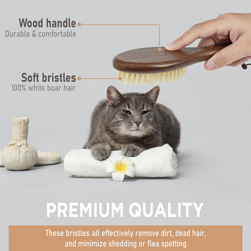 Takavu Natural White Boar Bristle Cat Brush - Gentle Grooming Tool for Sensitive Skin, Smoothing Fur & Healthy Shine - Soft Pet Brush - PawsPlanet Australia
