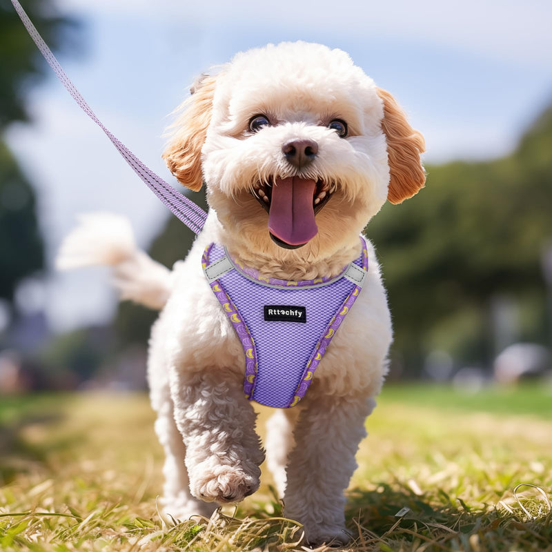 Rttochfy Small Dog Harness, Soft and Reflective Puppy Harness, Dog Harness and Leash Set for Small Size Dogs Training, Walking (Purple S) S (Chest:14"-15.5") Purple - PawsPlanet Australia
