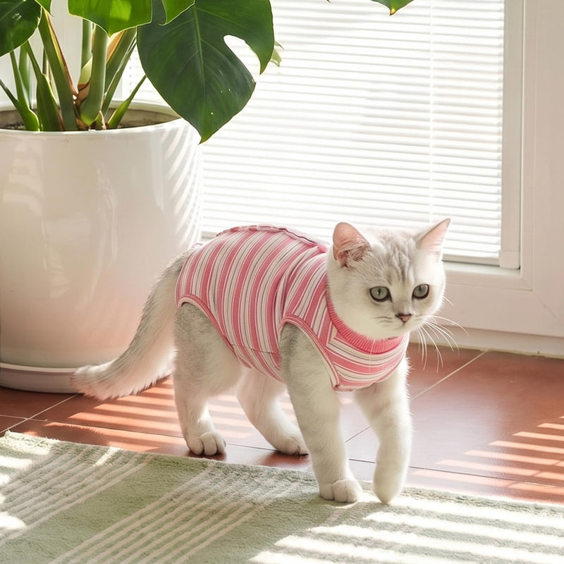CITÉTOILE Cat Bodysuit After Surgery, Post-Operative Cat Clothes for Abdominal Wounds, Recovery Suit Clothing After Surgery, E-Collar Alternative for Cats Dogs, Pink, XS