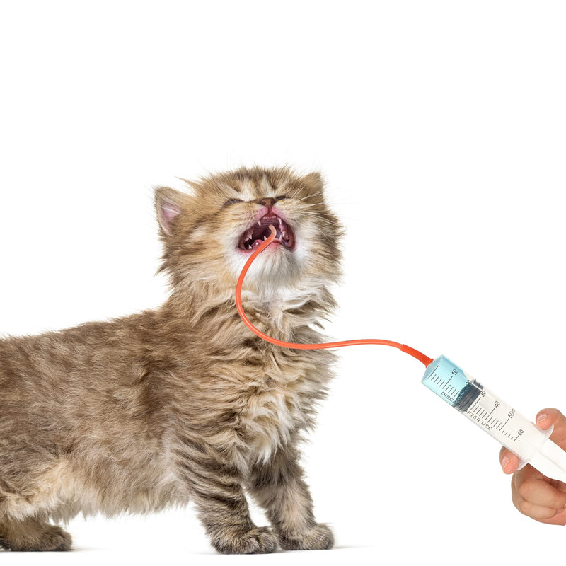 7 Pack Tube Feeding Kit for Puppies Puppy Feeding Tube Includes 3 Pack 8 FR Red Feeding Tubes, 3 Pack 10 ml 30 ml 60 ml Syringes, Bulb Syringe for Lamb Goat Puppy Whelping Kitten Measuring Watering - PawsPlanet Australia