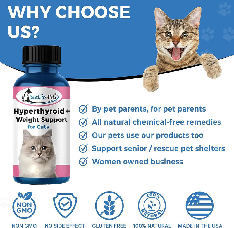 BestLife4Pets Cat Hyperthyroid + Weight Gain Support - Feline Thyroid Supplement for Metabolic Support - All-in-One Thyroid Supplement for Weight Management - Easy to Use Natural Pills