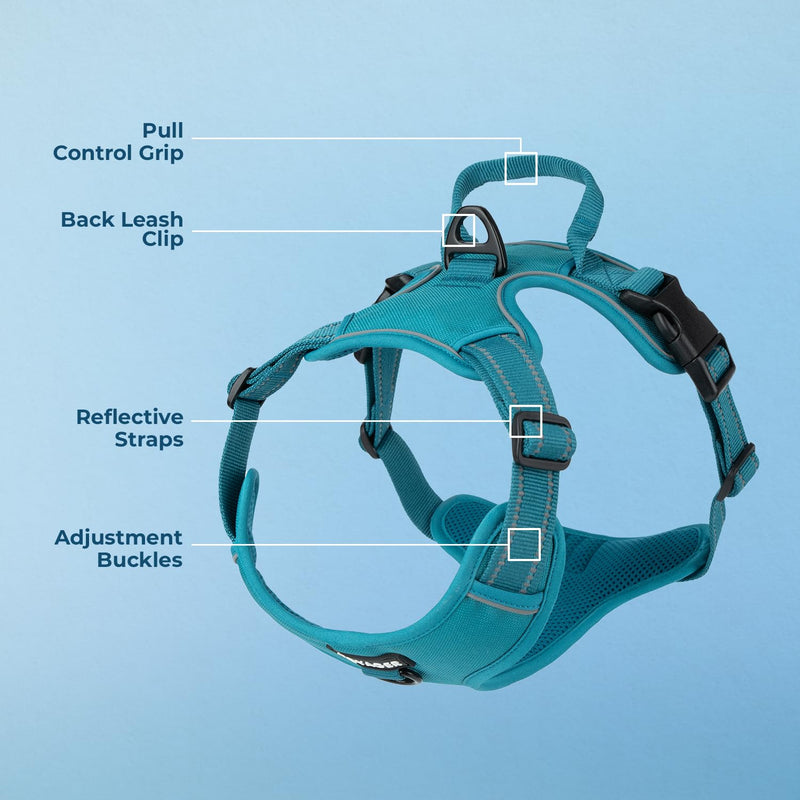 Voyager Dog Harness Dual Leash Attachment No-Pull Control Adjustable Soft but Strong Pet Harness for Medium and Large Dogs with 3M Reflective Technology - Turquoise, M (Chest: 20 - 25") M (Chest: 20 - 25") Harness (Turquoise Nylon)