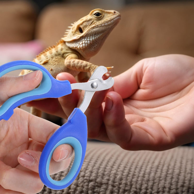 Pet Toe Nail Clippers,Stainless Steel Professional Nails Care Products for Bird,Squirrel,Cat,Dog,Guinea Pig,Rabbit,Turtle,Bearded Dragon,Small Reptile Clippers - PawsPlanet Australia