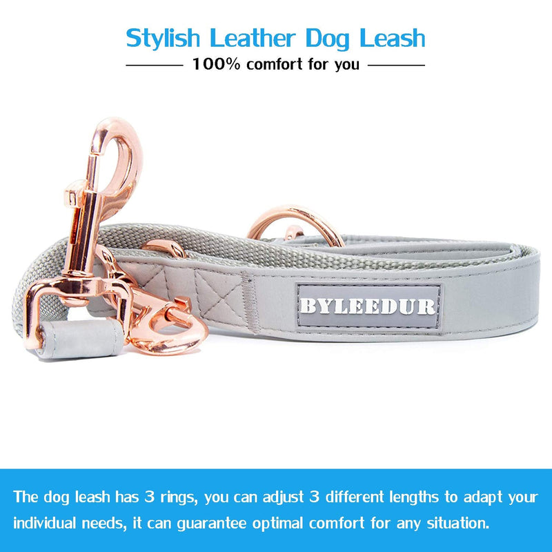 Dog Strap and Dog Collar Set 6.6 Inches with Elegant Leather Look Rose Gold Adjustable 3 Straps for Comfort and Ease (M(13.8-19.7) inch) M(13.8-19.7)inch - PawsPlanet Australia