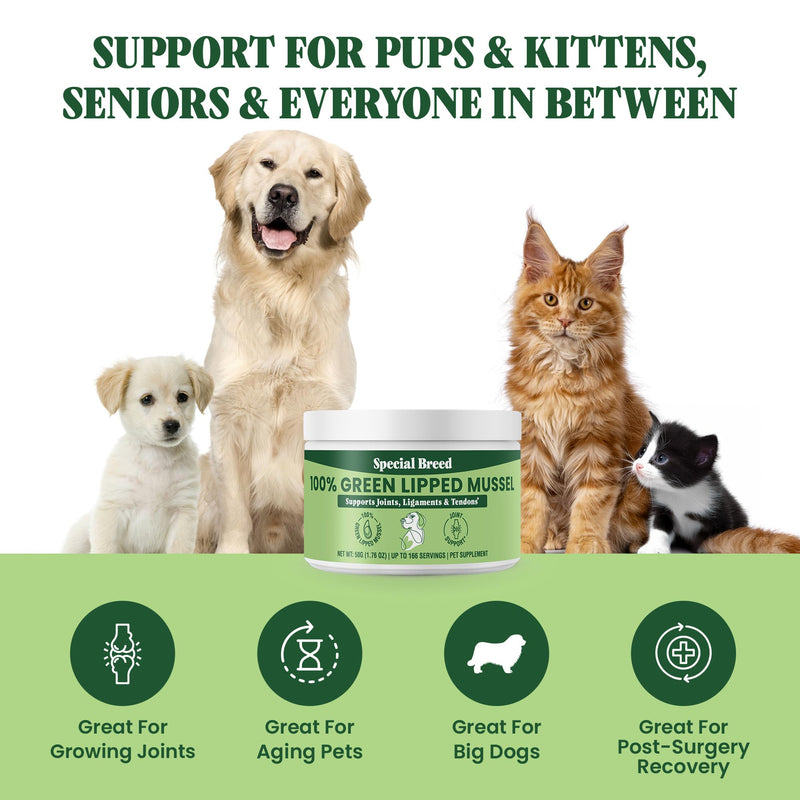 Green Lipped Mussel Powder for Dogs & Cats - 100% New Zealand Green Lipped Mussels - Natural Hip & Joint Supplement for Joints, Tendons, Ligaments, Muscles - 50 Grams - Up to 166 Servings