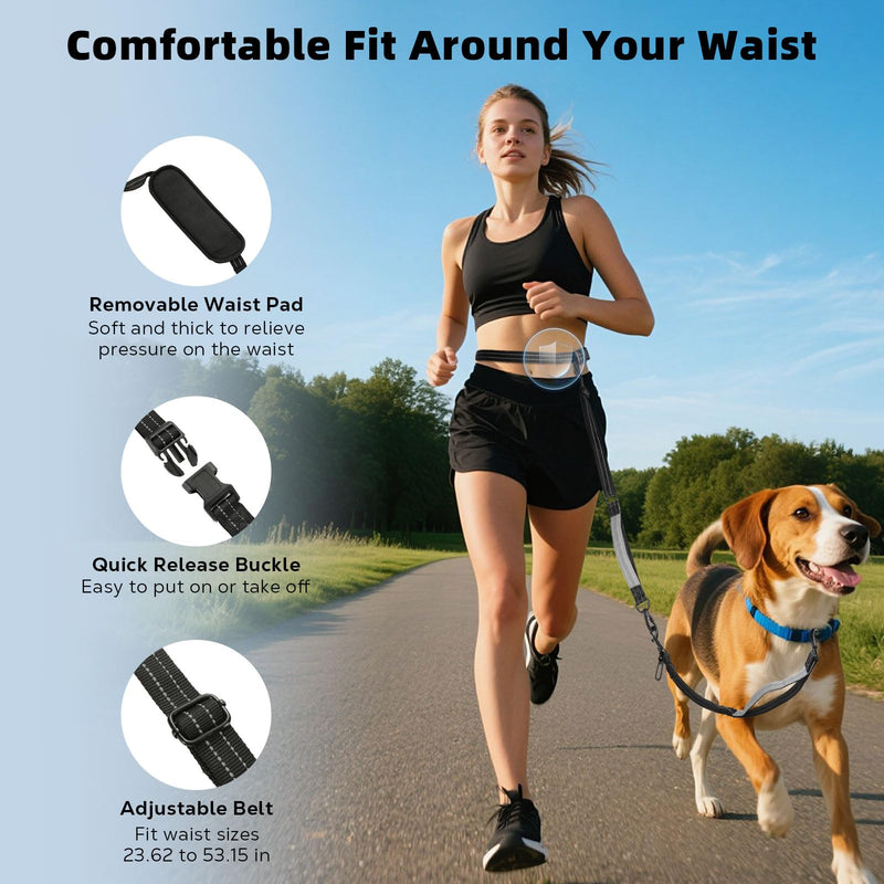 Hands Free Dog Leash, Waist Leash for 2 Dogs, Adjustable Double Hands Free Lead with Detachable Waist Belt, Padded Handles, Shock Absorbing Bungee for Walking Jogging Hiking, Black+Gray 6.9ft