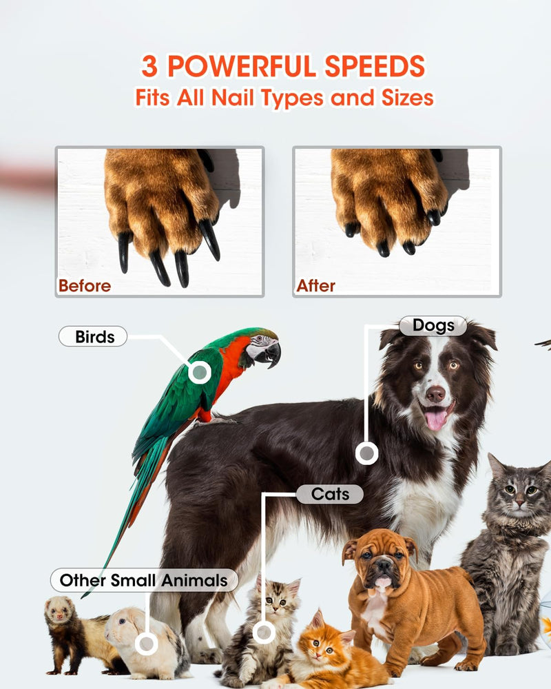 Super Powerful Dog Nail Trimmers and Dog Nail Clippers Combo, Ultra Quiet, 3 Speeds, 4 Bright Lights, with Travel Lock, for Small, Meddium and Large Dogs, Cats and Small Animals black - PawsPlanet Australia