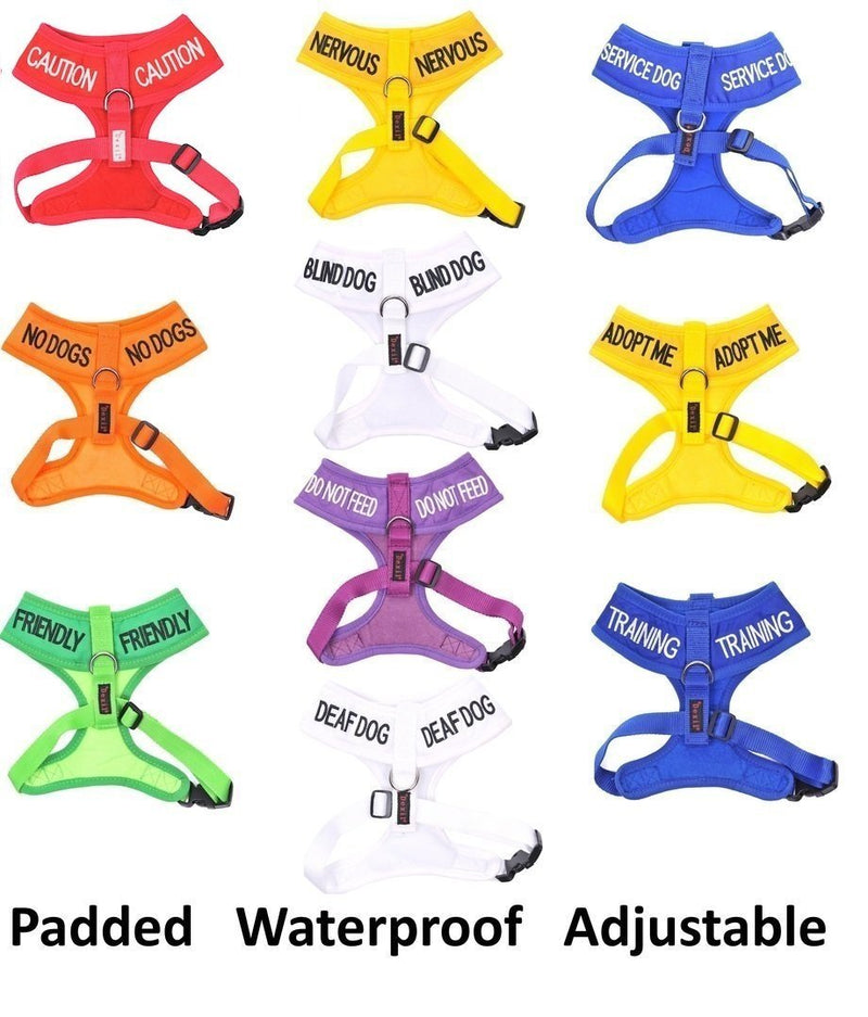 No Dogs Orange Color Coded Alert L-XL Non pull Dog Harness (Not Good With Other Dogs) Prevents Accidents By Warning Others of Your Dog in Advance