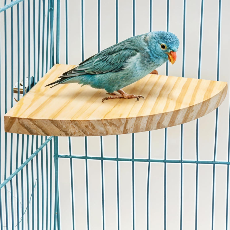 Bird Perch Platform Stand Wooden Parrot Perch Corner 6.7 Inches Fan Shape Playground Cage Accessories Parrot Stand Flat Perches for Bird Cages Corner Shelf for Birds Parrots Hamster Gerbil - PawsPlanet Australia