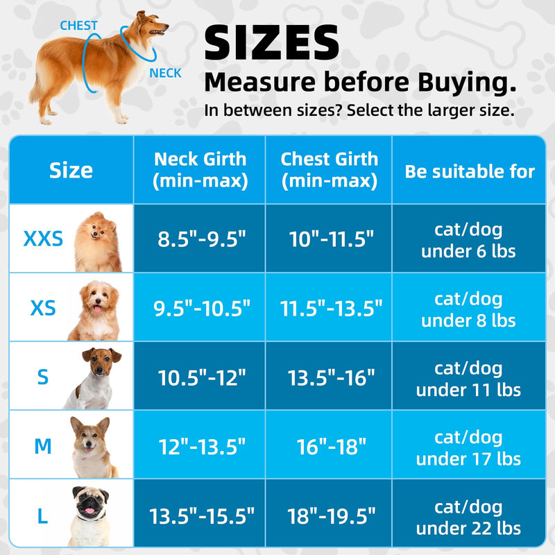 Adjustable Dog Harness Collar and Leash Set Step in No Pull Pet Harness for Small Medium Dogs Puppy and Cats Outdoor Walking Running, Soft Mesh Padded Reflective Vest Harnesses（Black,XXS） (XXS,8.5‘’-9.5‘’Neck Girth,10"-11.5"Chest Girth) Black - PawsPlanet Australia