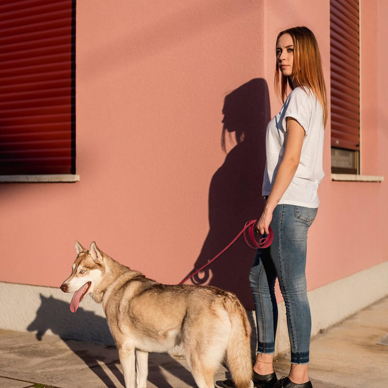 Leather Dog Leash 6ft x 3/4'', Heavy Duty Braided Dog Leashes with Rotating Clasp, Genuine Leather Dog Training Leash for Small Medium Large Dogs Red 6ftx3/4'' - PawsPlanet Australia