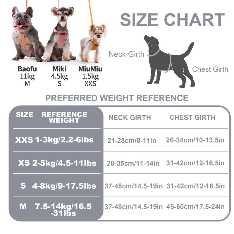 Puppytie No Pull xs Dog Harness with Multifunction Dog Leash,Soft Adjustable No Choke Escape Proof Pet Harness Vest,Glossy Grey,XXS Xmas-Grey XXS(2.2-6lb）