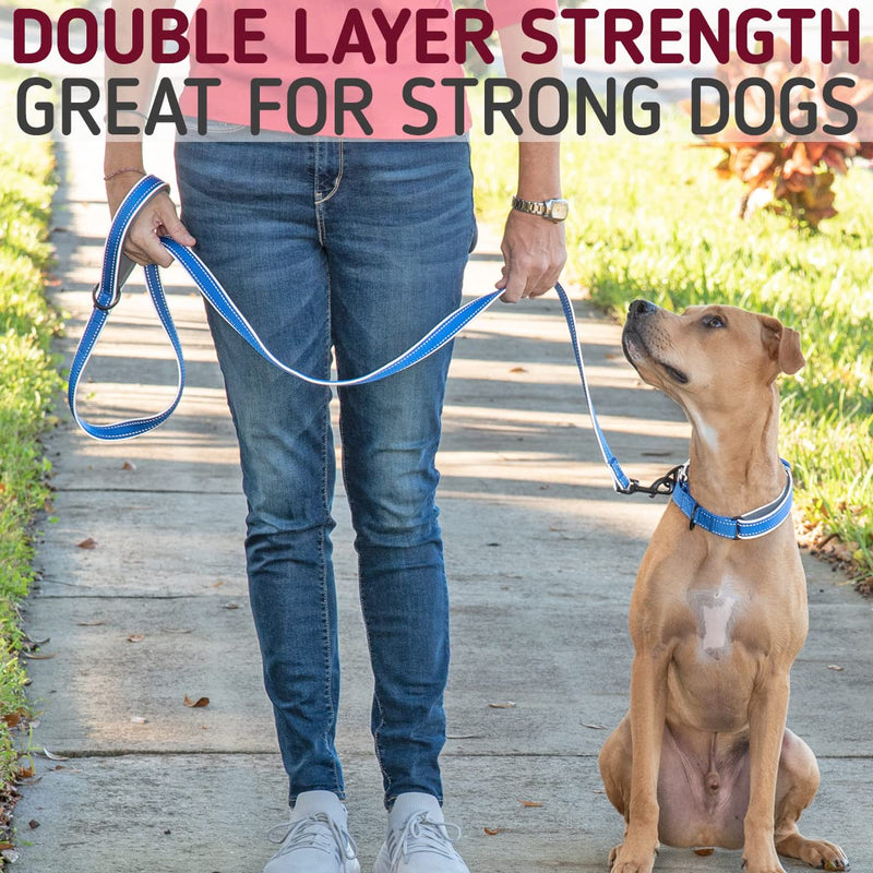 Leash Boss 6ft Ultra Comfort Double-Thick Soft Padded Handle Reflective Leash for Large and Medium Dogs, Heavy Duty for Large Breeds, Nylon for Small Dogs/Puppies 6 Ft x 1" Wide Aqua