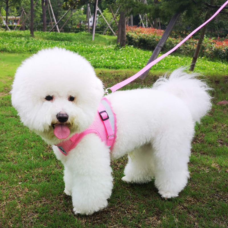 FEimaX Dog Harness and Leash Set, No Pull Soft Mesh Pet Harness for Walking Escape Proof Small Cat Step-in Adjustable Vest with Reflective Strip Fit Puppy Kitten Rabbit Pink XS - PawsPlanet Australia