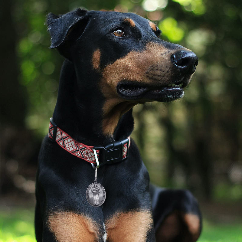 Pet Tags Engraved 2 Packs St Francis of Assisi Cats dogs Medal Pendant Collar Charm Protect My Pet - PawsPlanet Australia