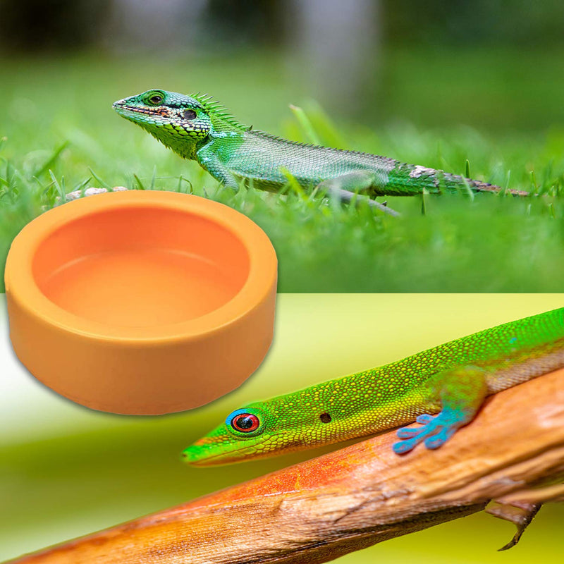 2 Pack Worm Dish Reptile Food Bowl Bearded Dragon Ceramic Bowl with Feeding Tongs Yellow-Large