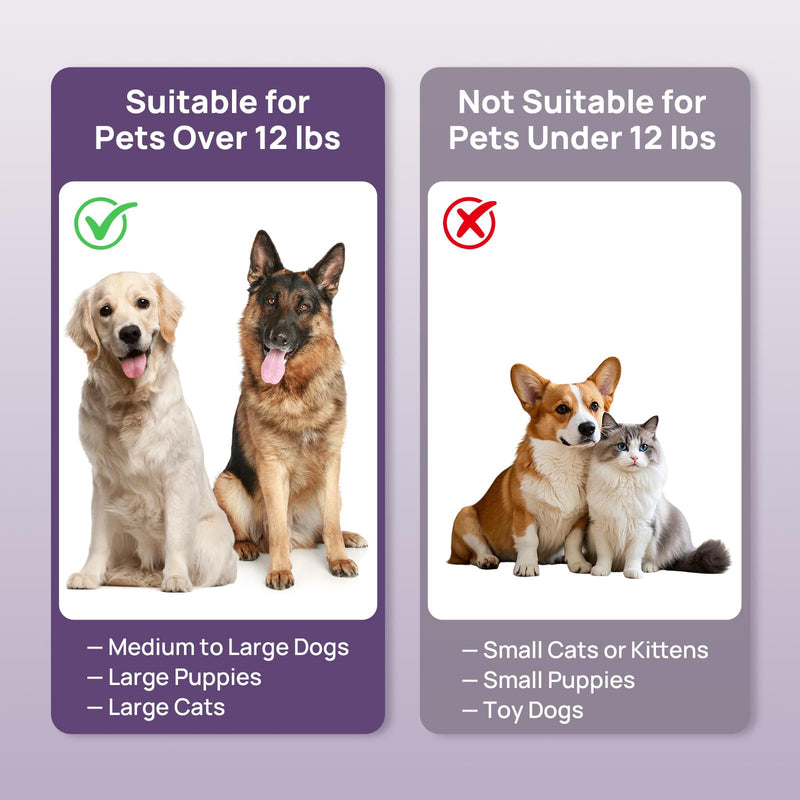 HICC PET Dog Finger Toothbrush Pack, 360° Silicone Pet Toothbrush for Plaque and Tartar Cleaning, Dog & Cats Teeth Cleaning with Protective Case, Safer & Softer Liquid Silicone (Yellow&Purple, 2 Pack) Yellow&purple