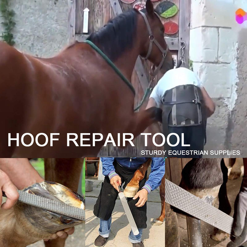 14 Inch Farrier Tools, Professional Farrier Tool Kits Horses Hoof Trimmers Suitable for Hoof Trimming for Horses Cows, Sheep, Donkeys and Other Medium Sized Animals Rasp Hoof Cutter Set