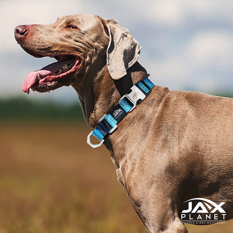 Colorful Martingale Collar for Dog Training -[Neoman] Safe & Humane Reflective Dog Collar for No Pull Training, Walking - Heavy Duty D-Ring, Quick-Release Buckle, Adjustable Clip Medium Collar:ZLCO007NMC/Blue - PawsPlanet Australia