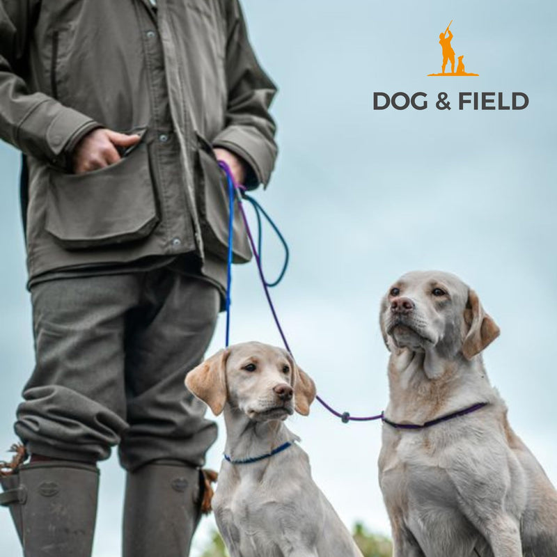 Dog & Field Signature Slip Lead for Dogs, Black. 4ft Lightweight Dog Slip Leash with Sliding Rubber Stopper. Training Lead for Dogs, Thin Slip Lead, No Collar or Harness Needed (Black) - PawsPlanet Australia