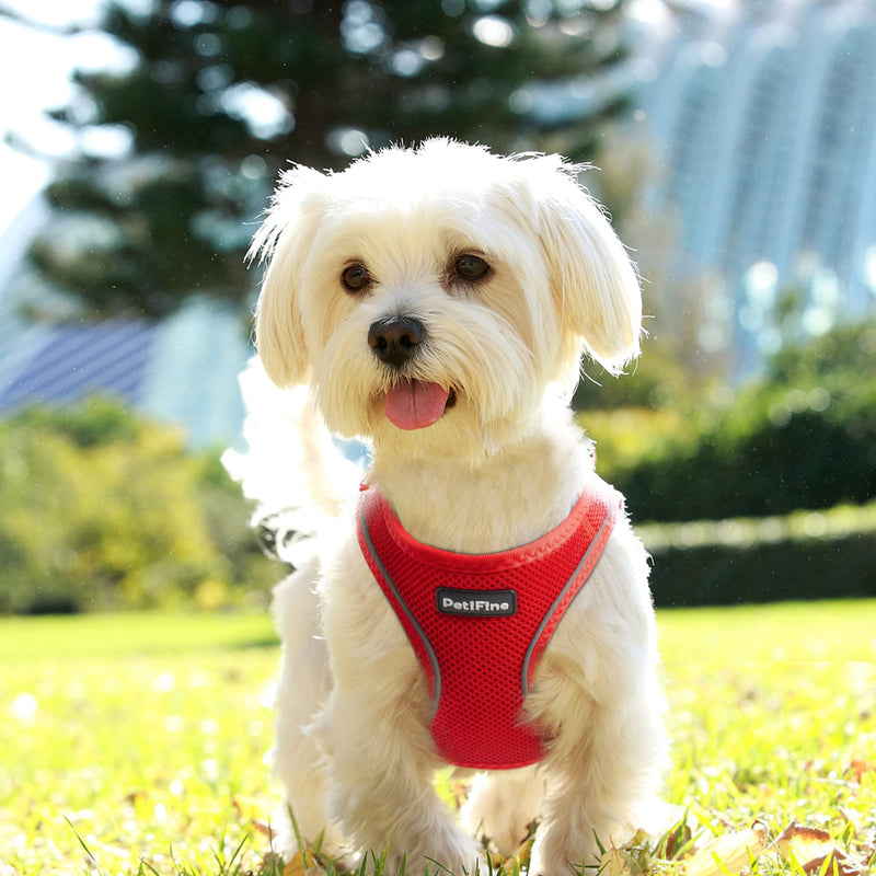 PetiFine Step in Small Dog Harness and Leash Set, Breathable All Weather Air Mesh Reflective Escape Proof, Step-in Vest Harnesses for Puppy(S, Red) S | Neck: 12.6''-13.8'' Chest:16.1''-17.7'' | - PawsPlanet Australia