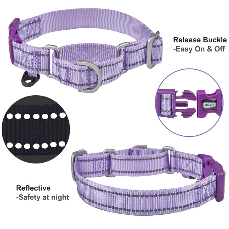 Reflective Martingale Collar for Dogs with Quick Snap Buckle Anti-Pull Nylon Safe Slip Collars for Easy Walking,Lilac,Small Small (Pack of 1) Lilac