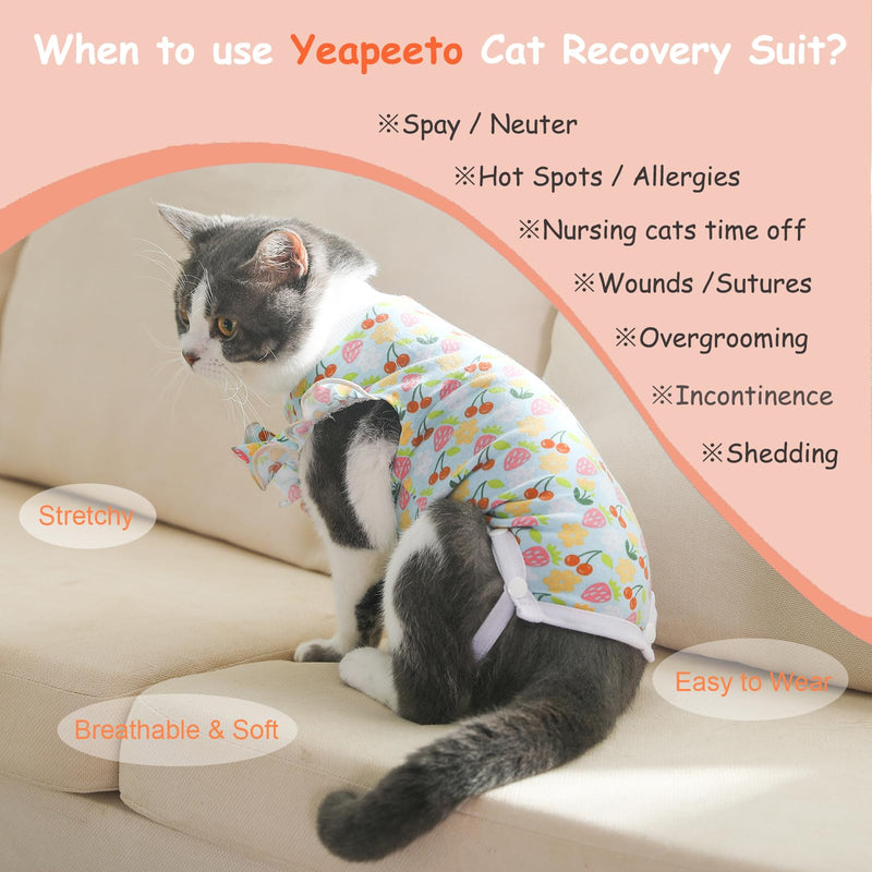 Yeapeeto Cat Recovery Suit 2 Packs After Surgery Bodysuit for Cats, E-Collar Substitute Keep from Licking Abdominal Wounds, Kitten Breathable Clothes, Warm After Shaving (Small) Small Rinbow+Fruit - PawsPlanet Australia