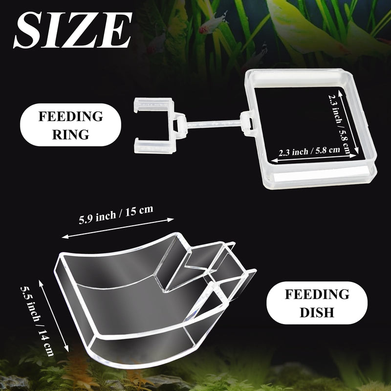 Shrimp Feeding Tube and Dish Set Aquarium Fish Feeder Tube Clear Shrimp Feeder Fish Tank Feeding Supplies with Feeding Ring Cleaning Brush for Fish Tank Aquarium - Prevent Food Scattering - PawsPlanet Australia