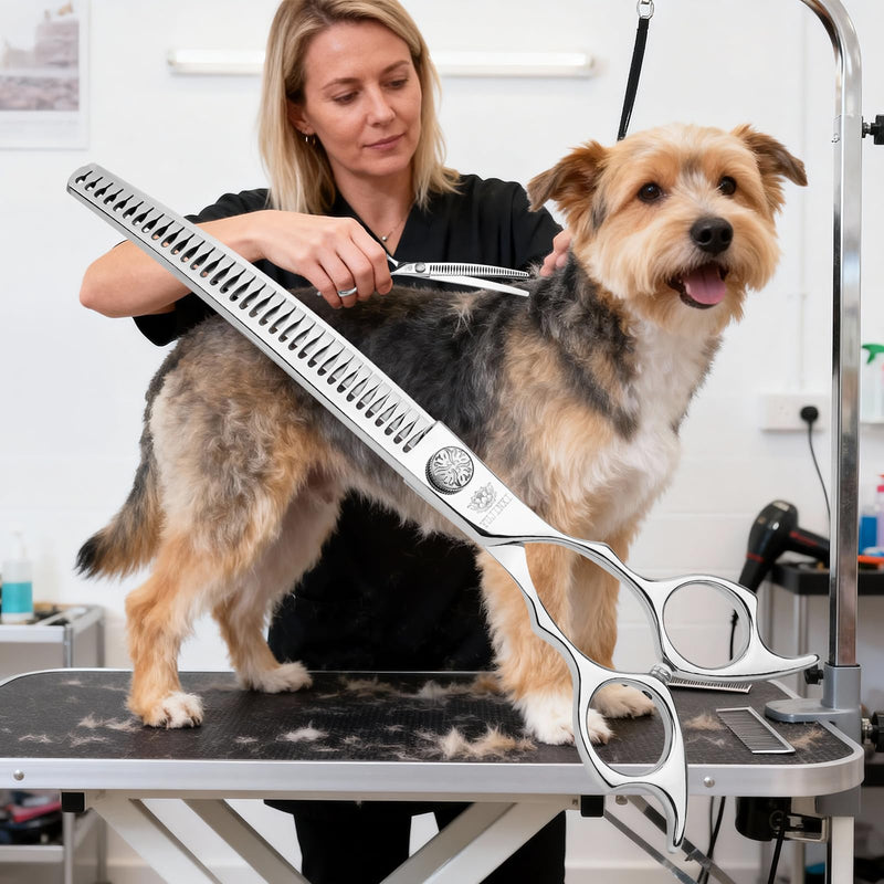 Curved Chunkers Shears Dog Grooming Professional 7.5 in Chunkers Scissors for Dogs Japan VG10 Stainless Steel Pet Grooming Thinning Scissors for Cut for Dogs and Cats. Curved Chunkers - PawsPlanet Australia