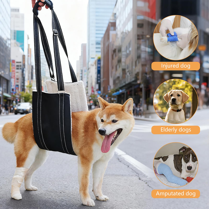 Dog Carrying Aid, Adjustable Walking Aid and Rehabilitation Carry Strap for Various Sizes, Safety Support for Disabled, Injured or Older Dogs, M