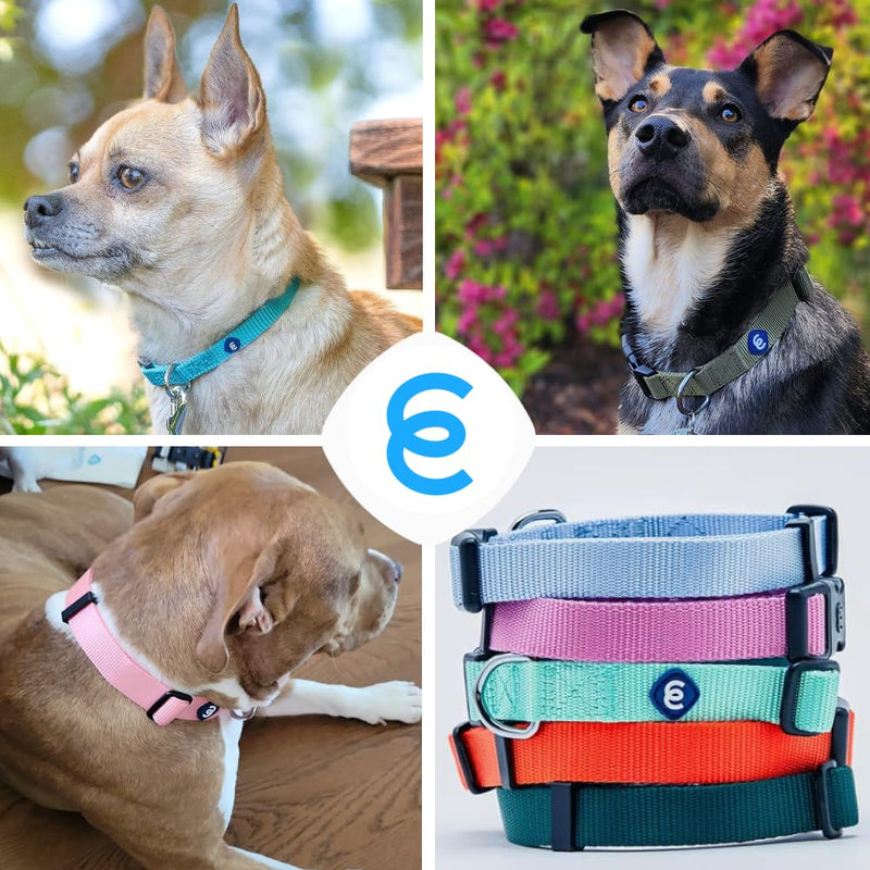 Blueberry Pet Essentials Matching Medium Dog Collar & Key Holder Set | Adjustable Classic Solid Color Nylon Collars for Medium Dogs w/Key Holder for Pet Owners Turquoise + Key Holder - PawsPlanet Australia