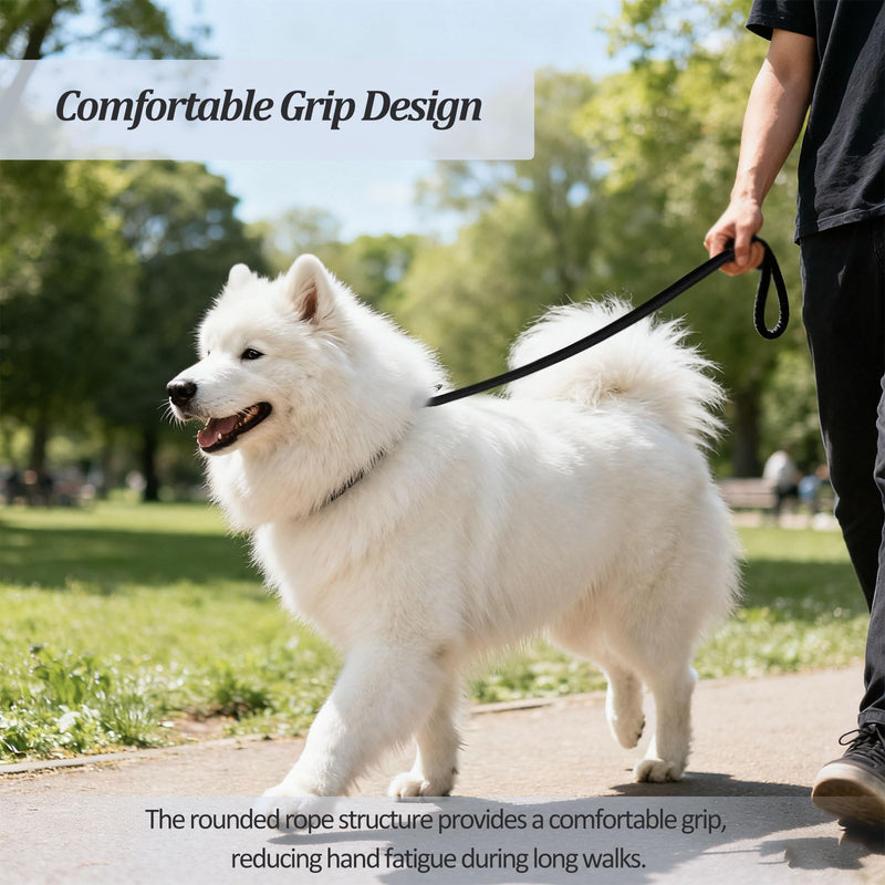 2-Pack Adjustable Nylon Slip Dog Lead – Collar-and-Leash Integrated Design for Training (Black/Blue) - PawsPlanet Australia